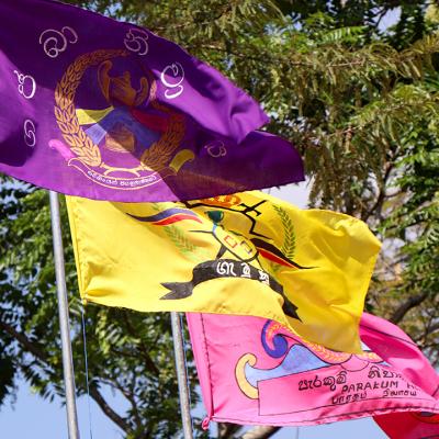 නිවාසාන්තර ක්‍රීඩා